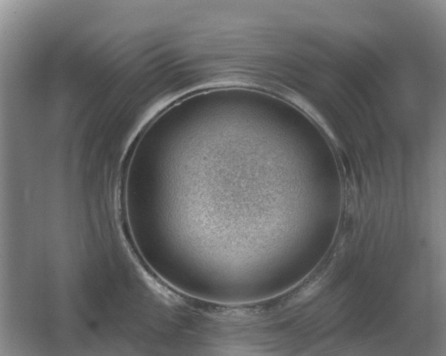 X0000062611101200512230913