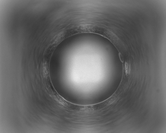 X0000062611107200512230912