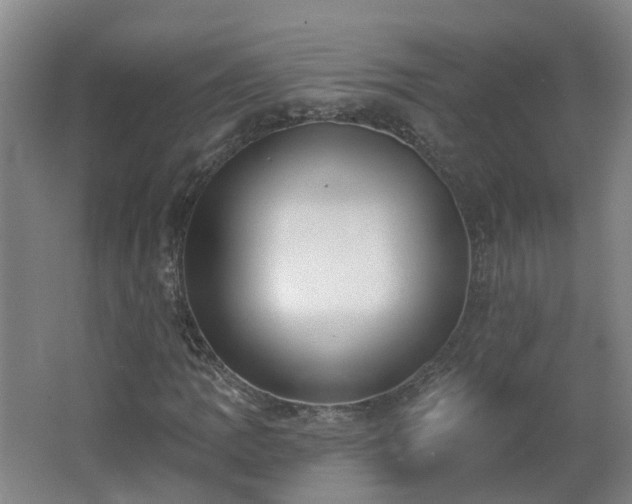 X0000062611109200512230912