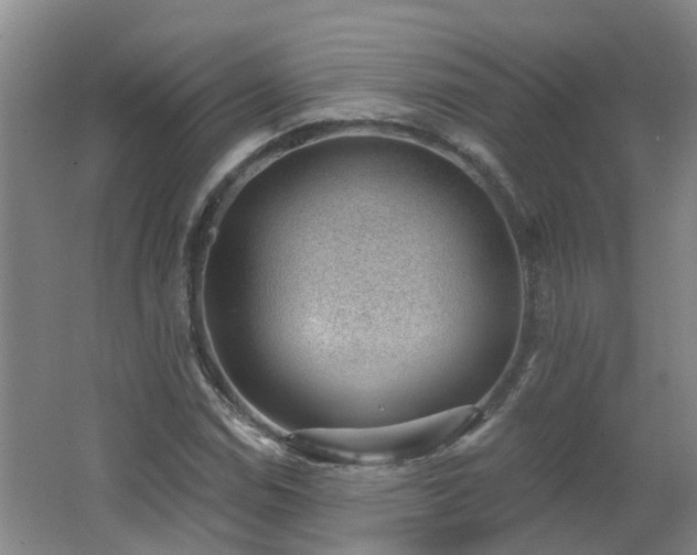 X0000062611114200512230912