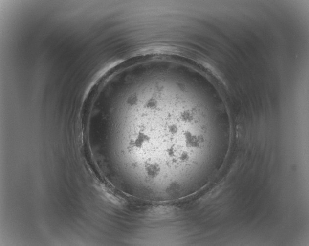 X0000062611117200512230912