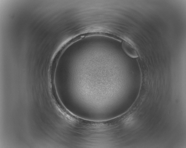 X0000062611120200512230912