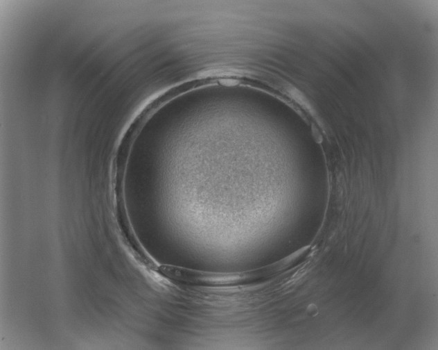 X0000062611124200512230912