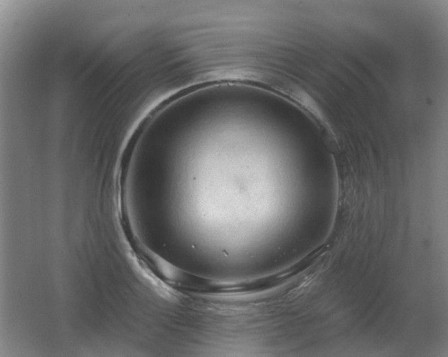 X0000062611132200512230912