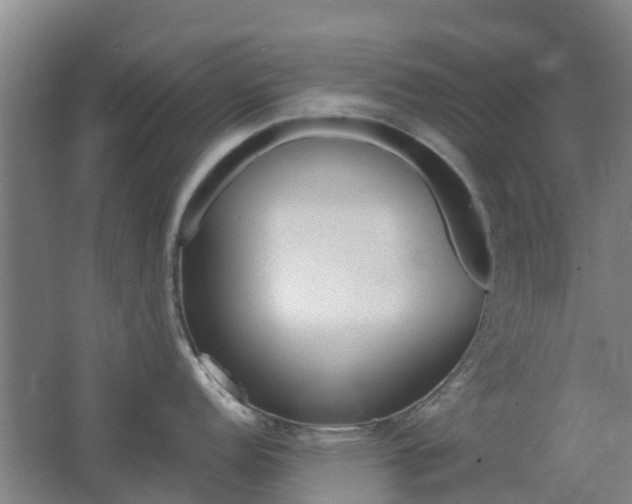 X0000062611152200512230913