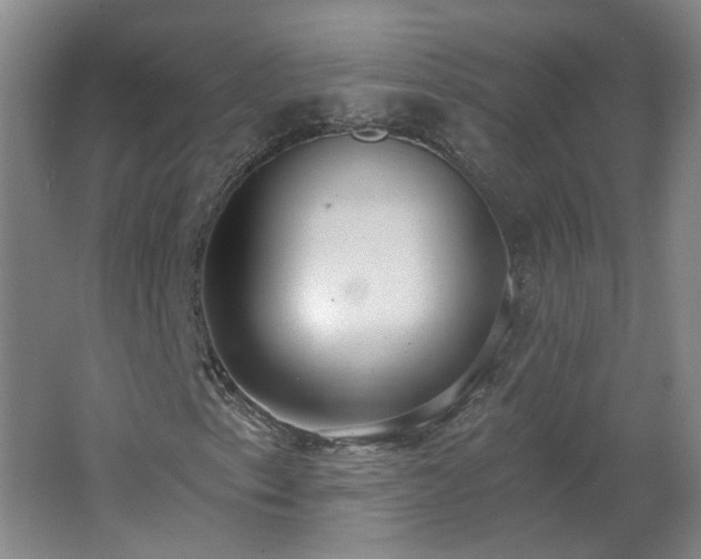 X0000062611153200512230912