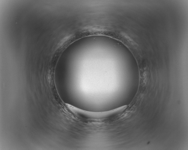 X0000062611157200512230912