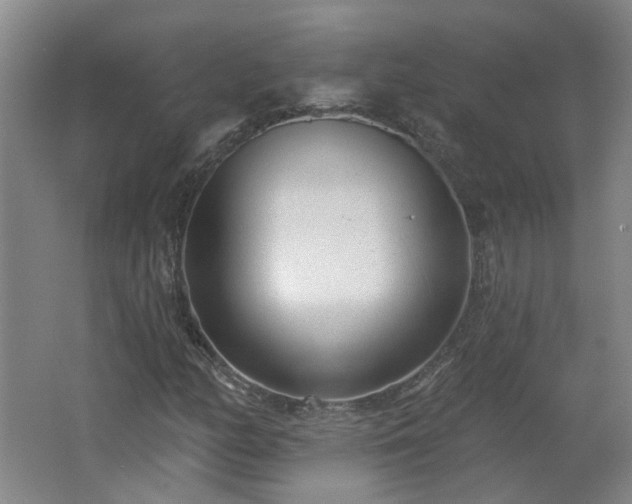 X0000062611158200512230912