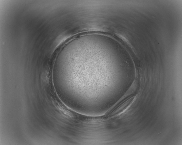 X0000062611163200512230912