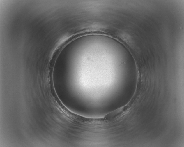 X0000062611164200512230912