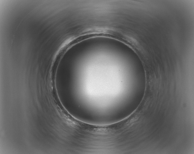 X0000062611172200512230911