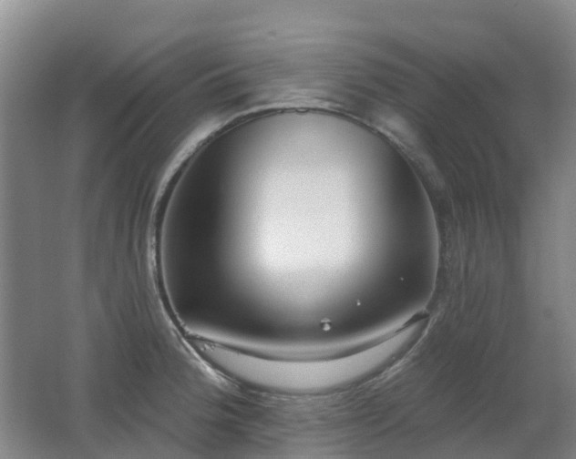 X0000062611188200512230911