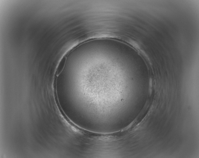 X0000062611189200512230911