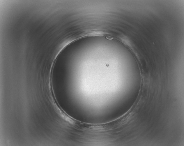 X0000062611194200512230911