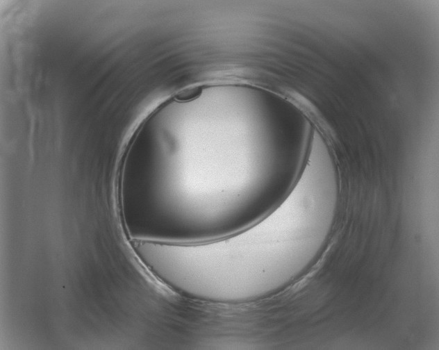 X0000062611196200512230911