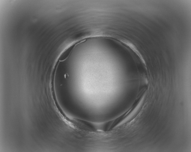 X0000062611197200512230911