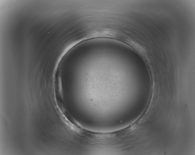 X0000062611200200512230911