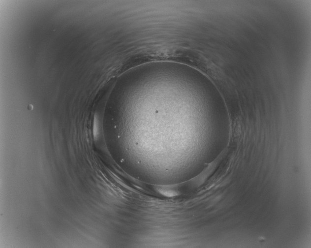 X0000062611202200512230910