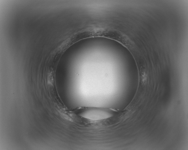 X0000062611204200512230910