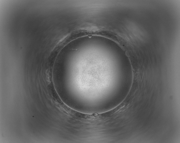 X0000062611205200512230910