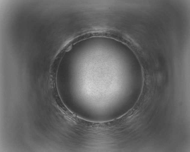 X0000062611208200512230910