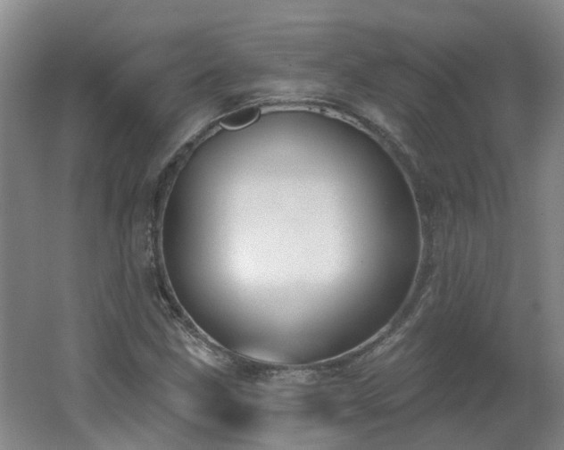 X0000062611211200512230910