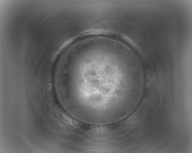 X0000062611213200512230910