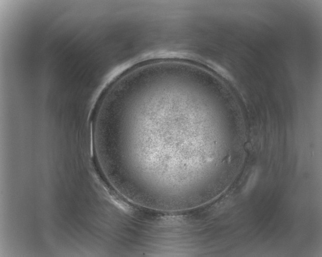 X0000062611223200512230910