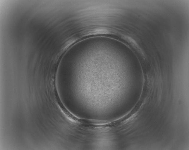 X0000062611225200512230911