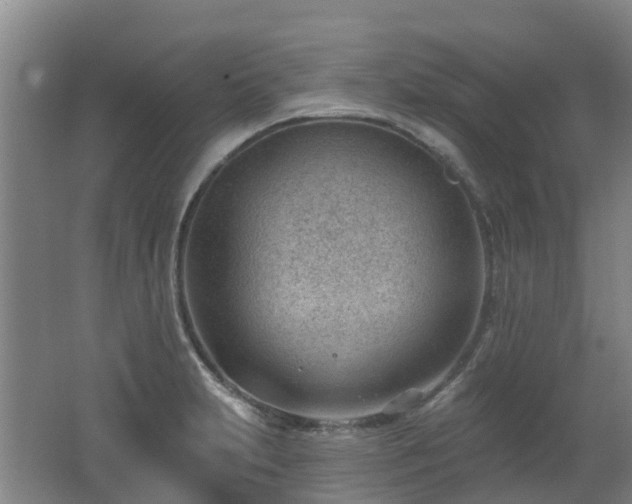 X0000062611231200512230911