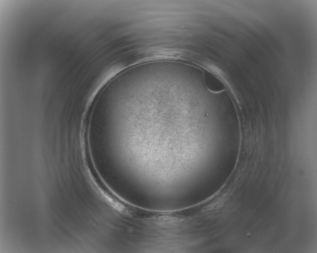 X0000062611235200512230911