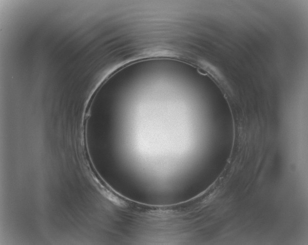 X0000062611236200512230911