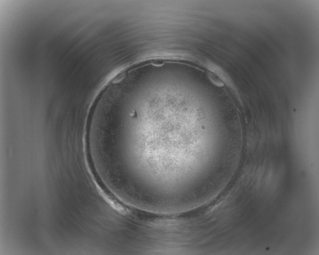 X0000062611237200512230911