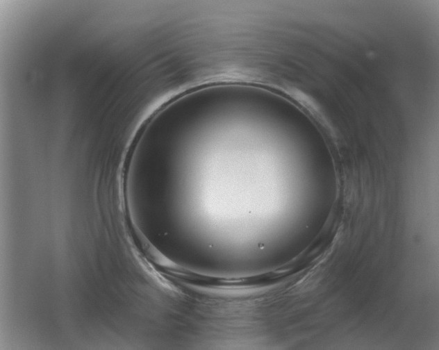 X0000062611238200512230911