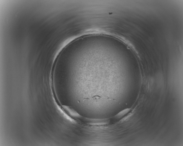 X0000062611239200512230911