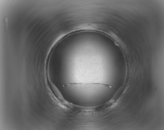 X0000062611240200512230911