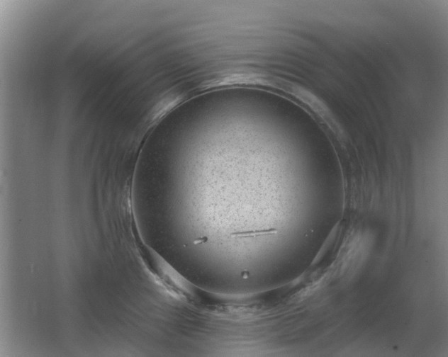 X0000062611241200512230911