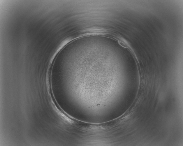 X0000062611243200512230911