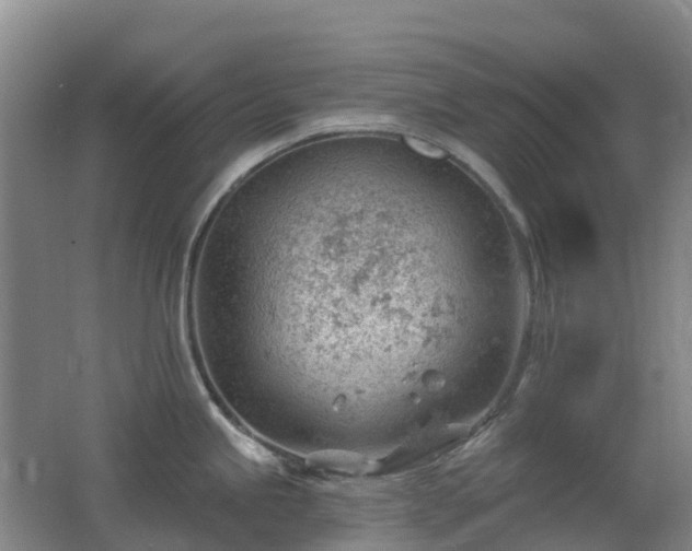 X0000062611245200512230911