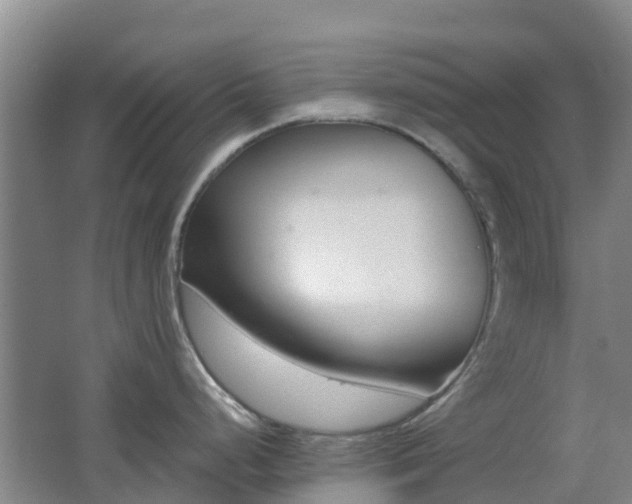 X0000062611248200512230911