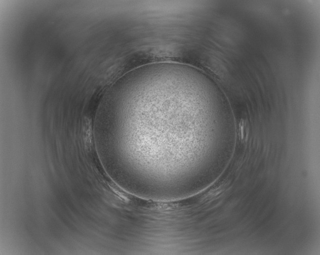 X0000062611251200512230910