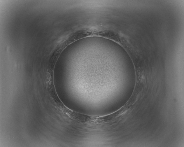 X0000062611253200512230910