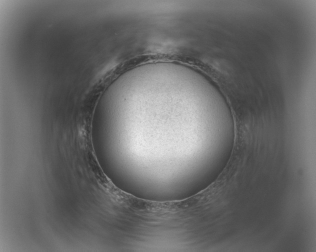 X0000062611254200512230910