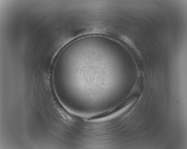 X0000062611260200512230910