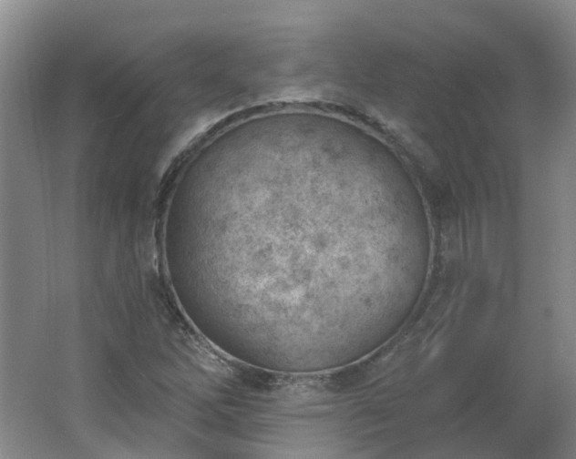 X0000062611262200512230910