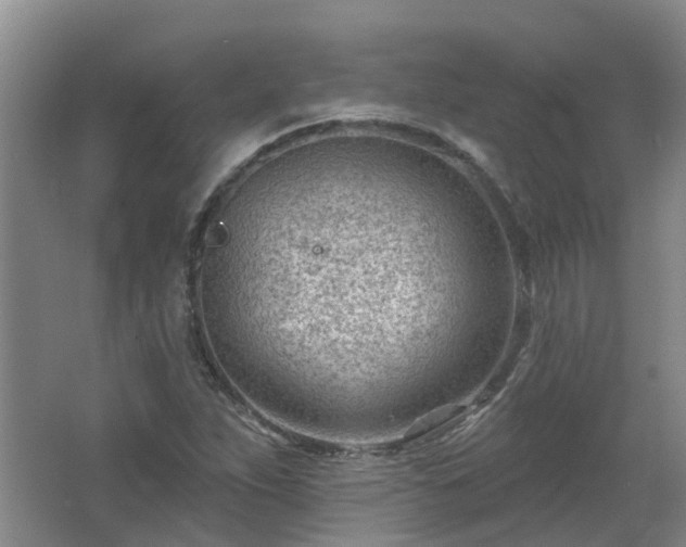 X0000062611263200512230910