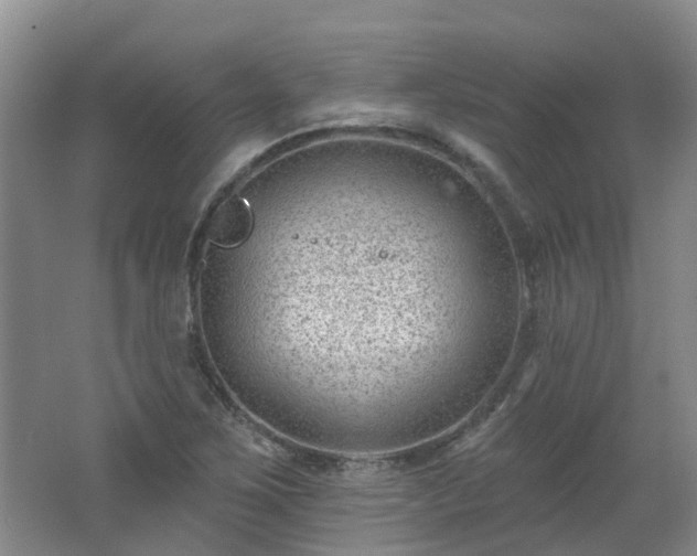 X0000062611267200512230910