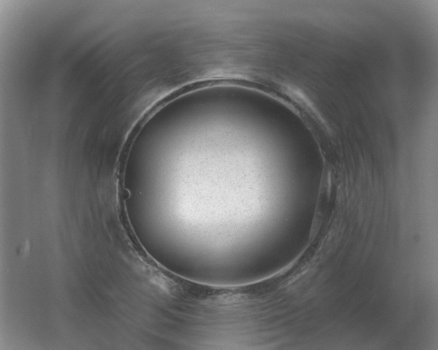 X0000062611268200512230910