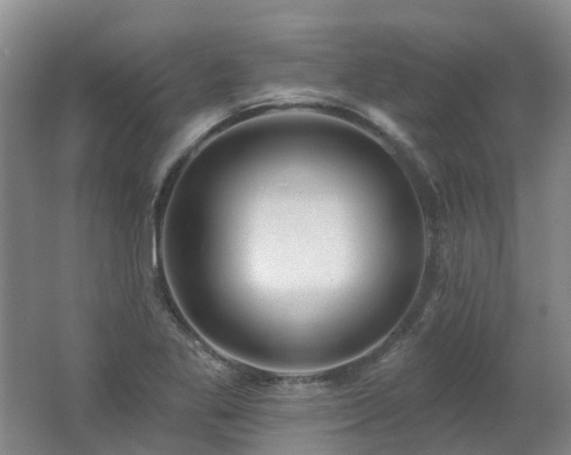 X0000062611269200512230910