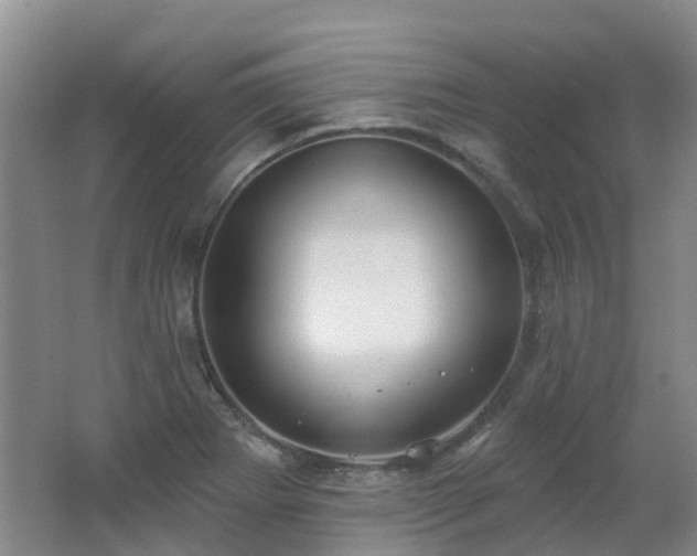 X0000062611273200512230910